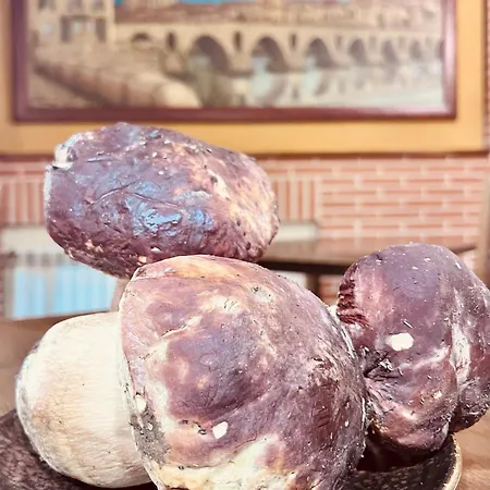 Puente De Piedra 호텔