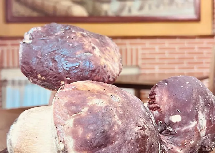 Puente De Piedra Szálloda